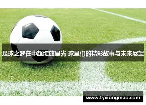 足球之梦在中超绽放星光 球星们的精彩故事与未来展望